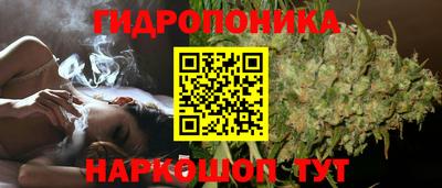 твердый Будённовск