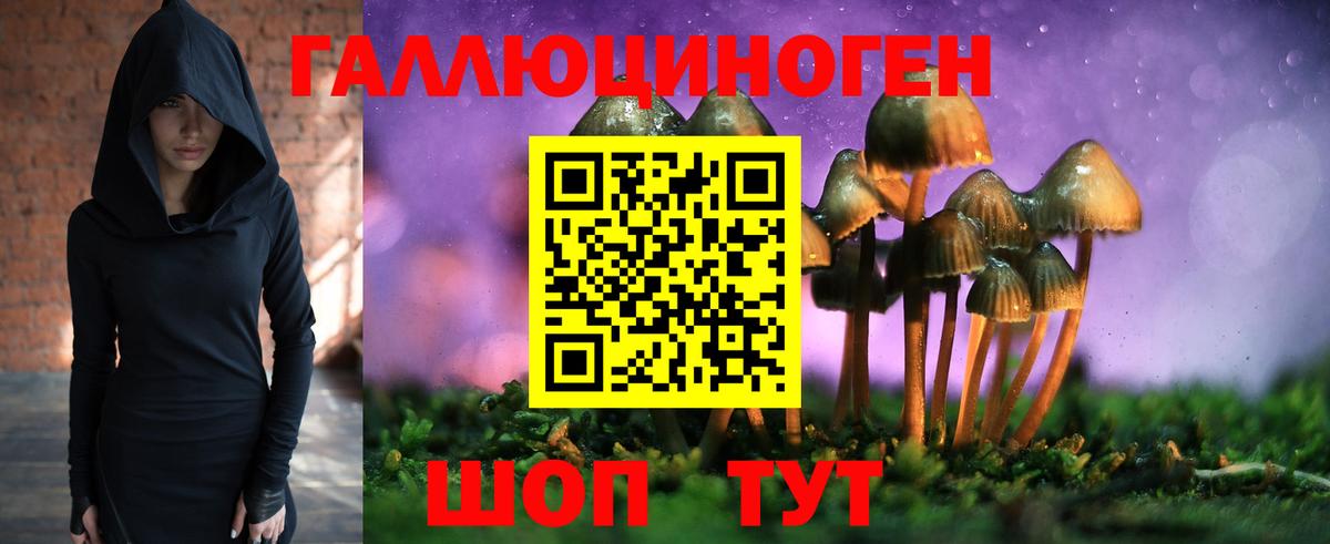 Галлюциногенные грибы GOLDEN TEACHER Саки