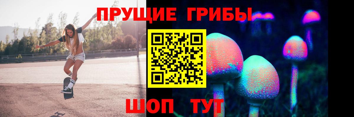 Саки  Галлюциногенные грибы GOLDEN TEACHER  Вход с VPN 
